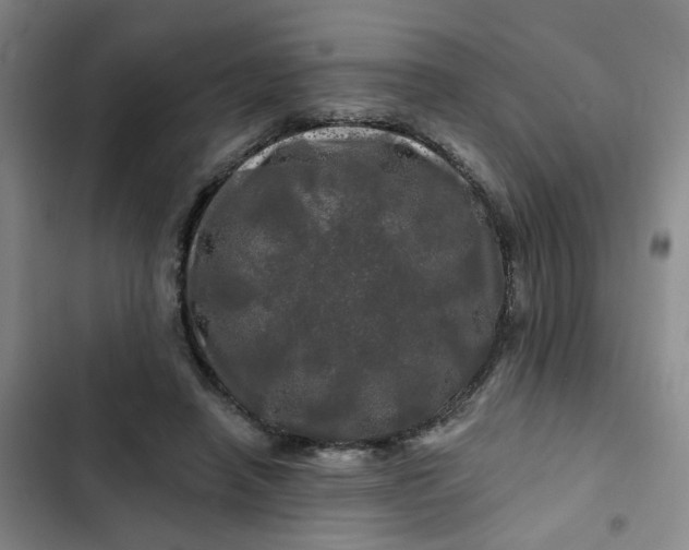 X0000102490450200808221734