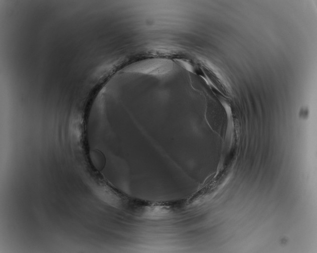 X0000102490451200808221734