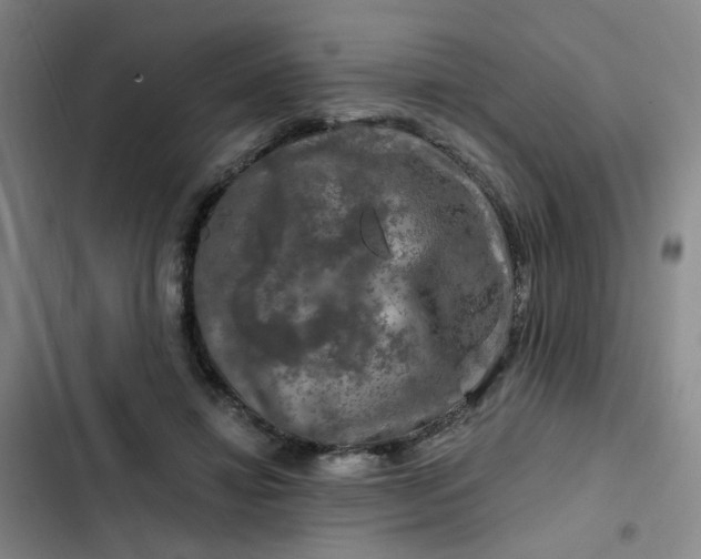 X0000102490452200808221734