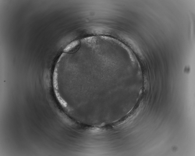 X0000102490453200808221734