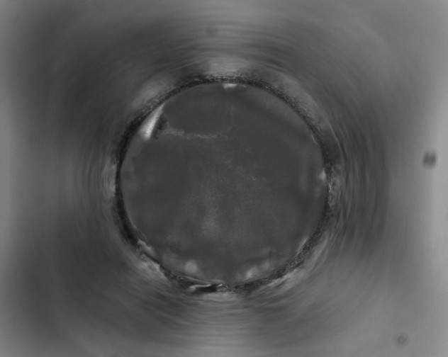 X0000102490454200808221734