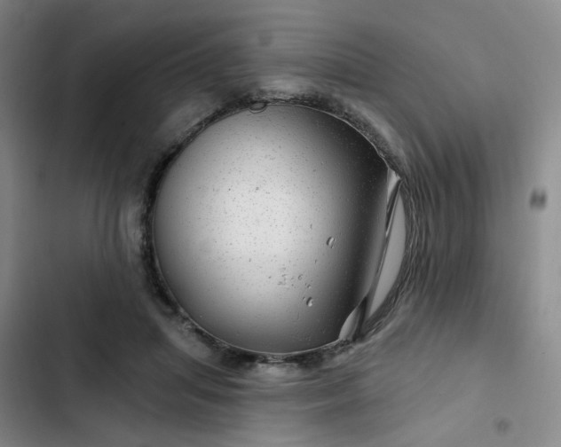 X0000102490455200808221734