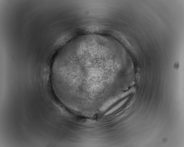 X0000102490458200808221734