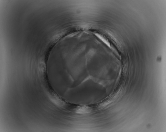 X0000102490459200808221734