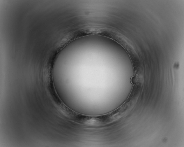 X0000102490460200808221734