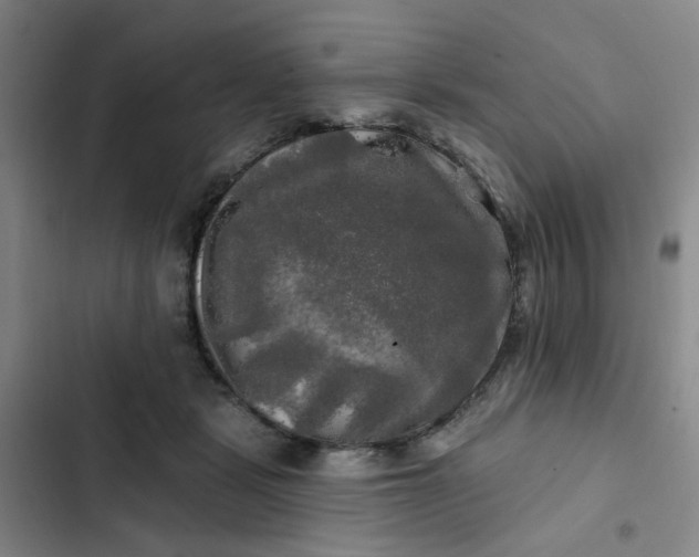 X0000102490461200808221734