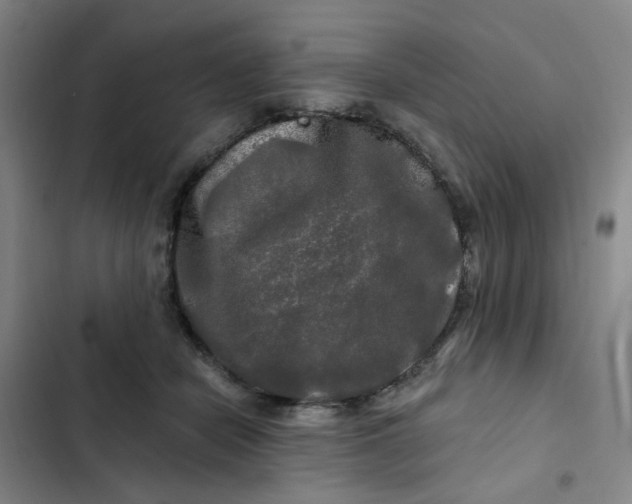 X0000102490462200808221734