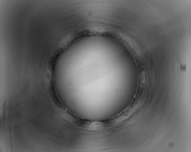 X0000102490463200808221734