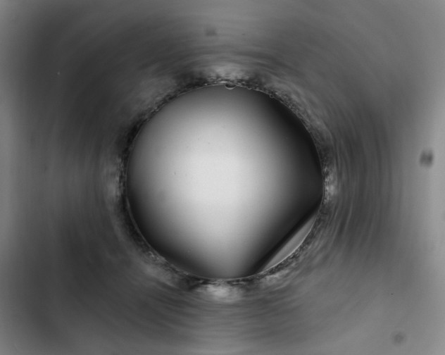 X0000102490464200808221735