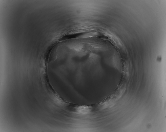 X0000102490465200808221735