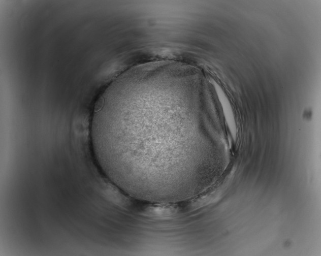 X0000102490466200808221735