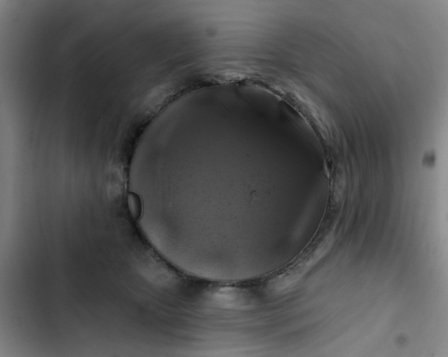 X0000102490467200808221735