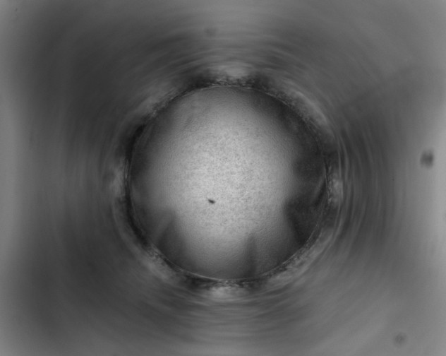 X0000102490468200808221735