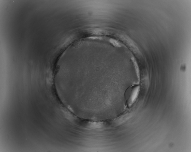 X0000102490469200808221735