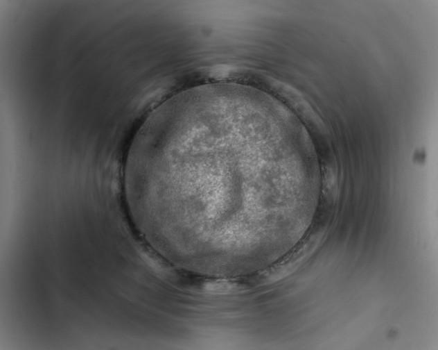 X0000102490470200808221735