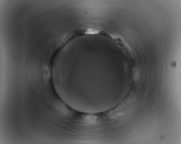 X0000102490471200808221735