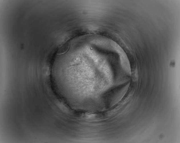 X0000102490472200808221735