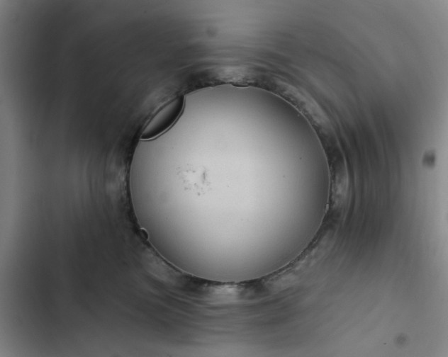 X0000102490473200808221735