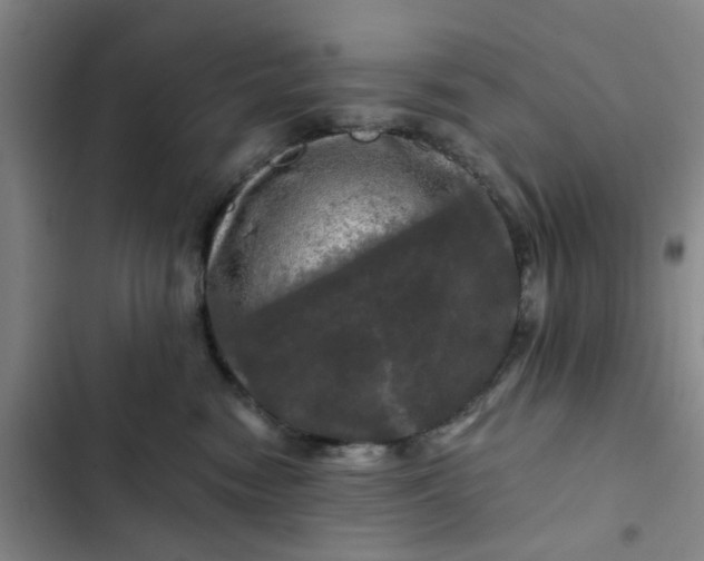 X0000102490474200808221735