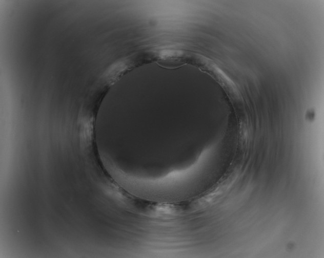 X0000102490475200808221735