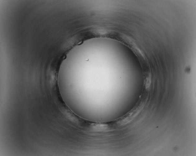 X0000102490476200808221735