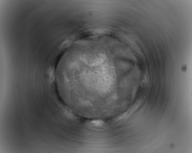 X0000102490478200808221735