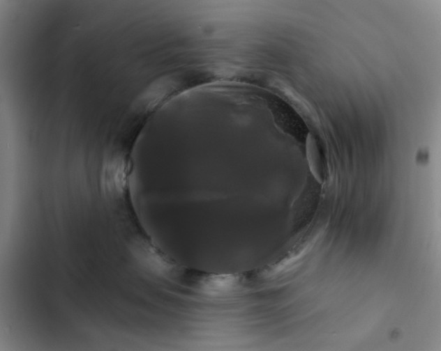 X0000102490479200808221735