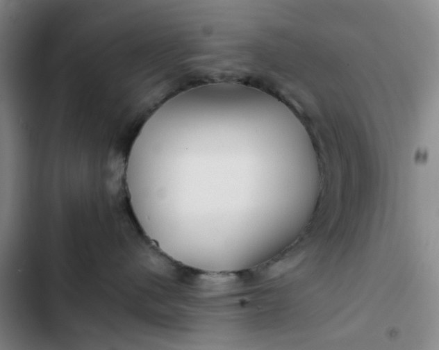 X0000102490480200808221735