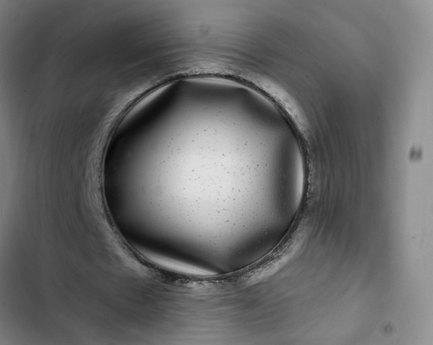 X0000102490481200808221734