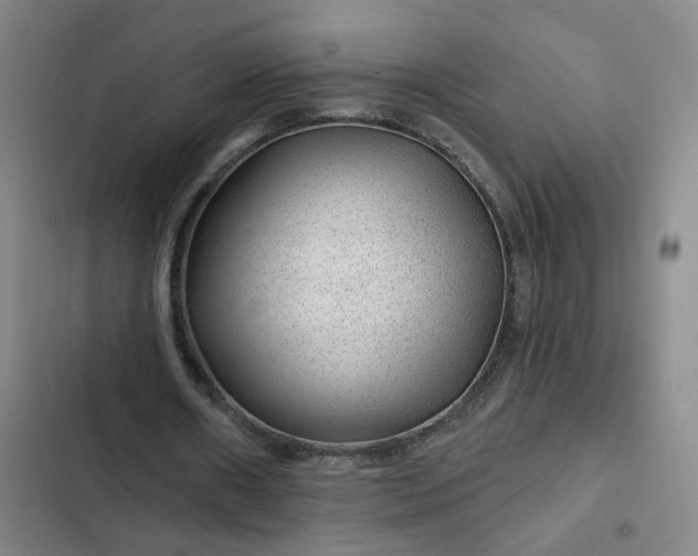 X0000102490482200808221734