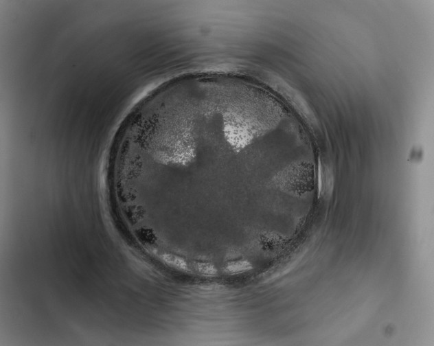 X0000102490483200808221734