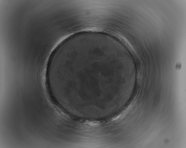 X0000102490484200808221734