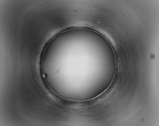 X0000102490485200808221734