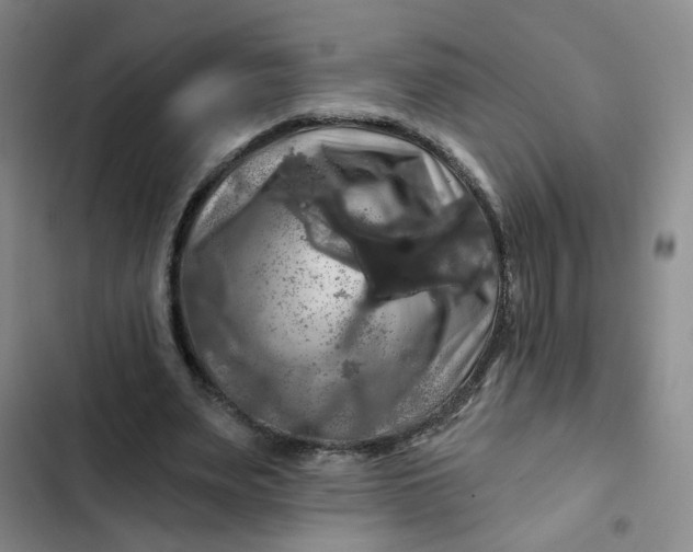 X0000102490487200808221734