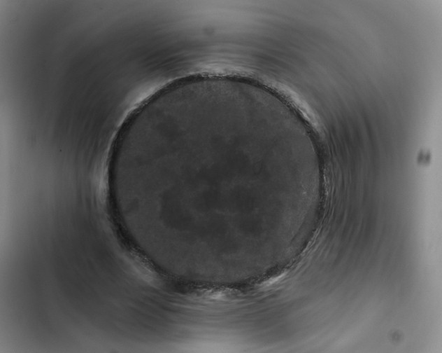 X0000102490488200808221734