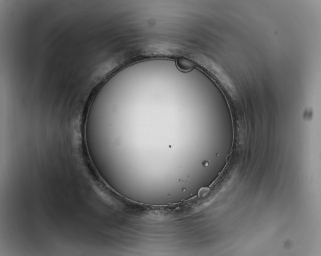 X0000102490489200808221734