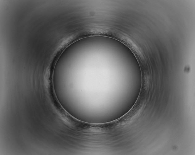 X0000102490490200808221734