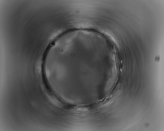 X0000102490491200808221734