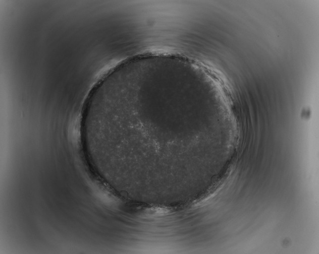 X0000102490492200808221734