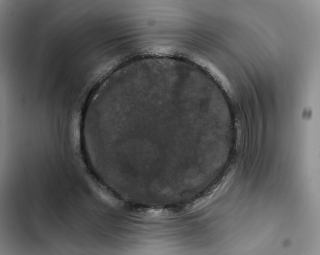 X0000102490493200808221734