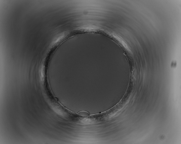 X0000102490494200808221734