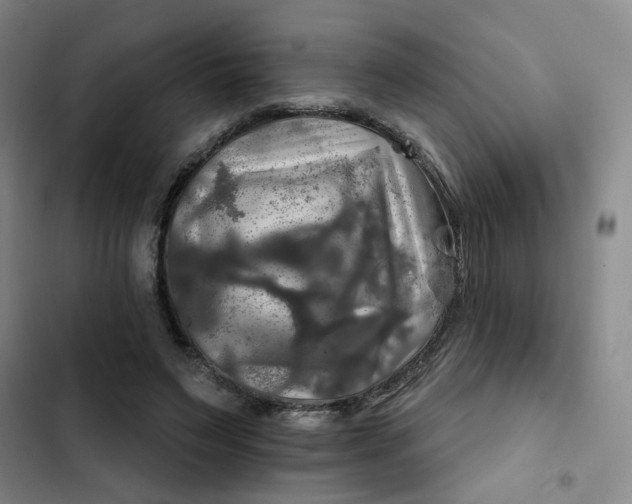 X0000102490495200808221734