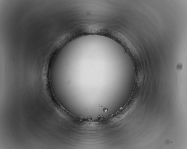 X0000102490497200808221734