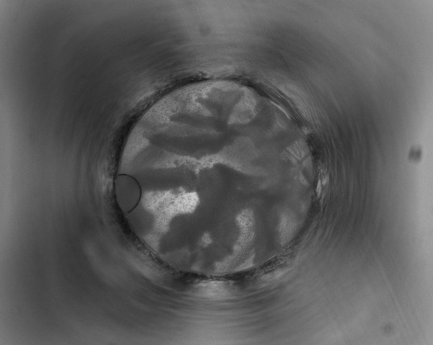 X0000102490499200808221734