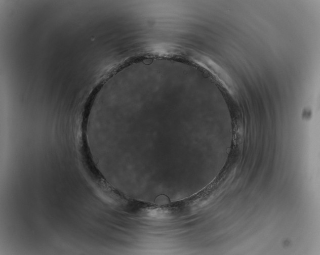 X0000102490500200808221734