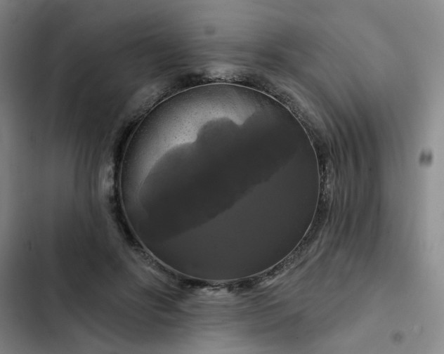 X0000102490502200808221734