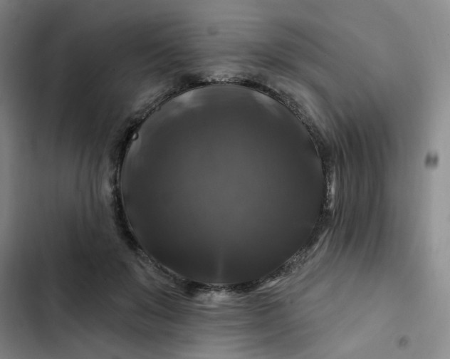 X0000102490503200808221734