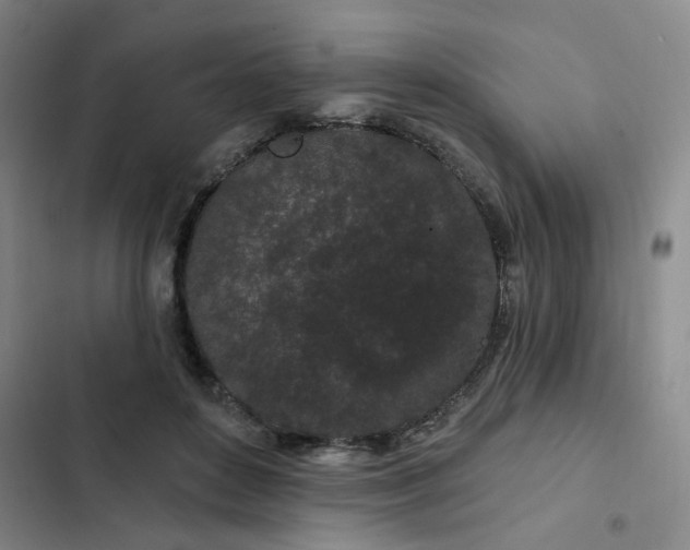 X0000102490504200808221734