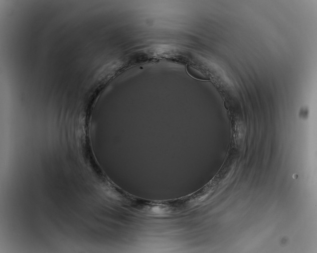 X0000102490506200808221734