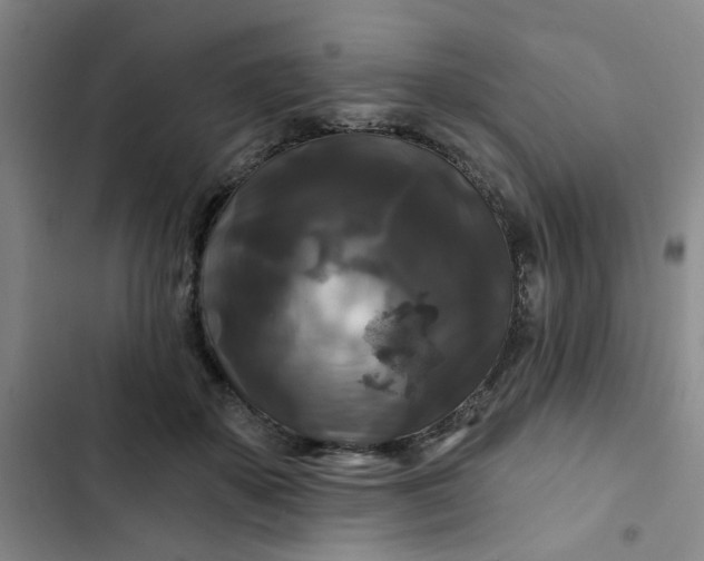 X0000102490507200808221734